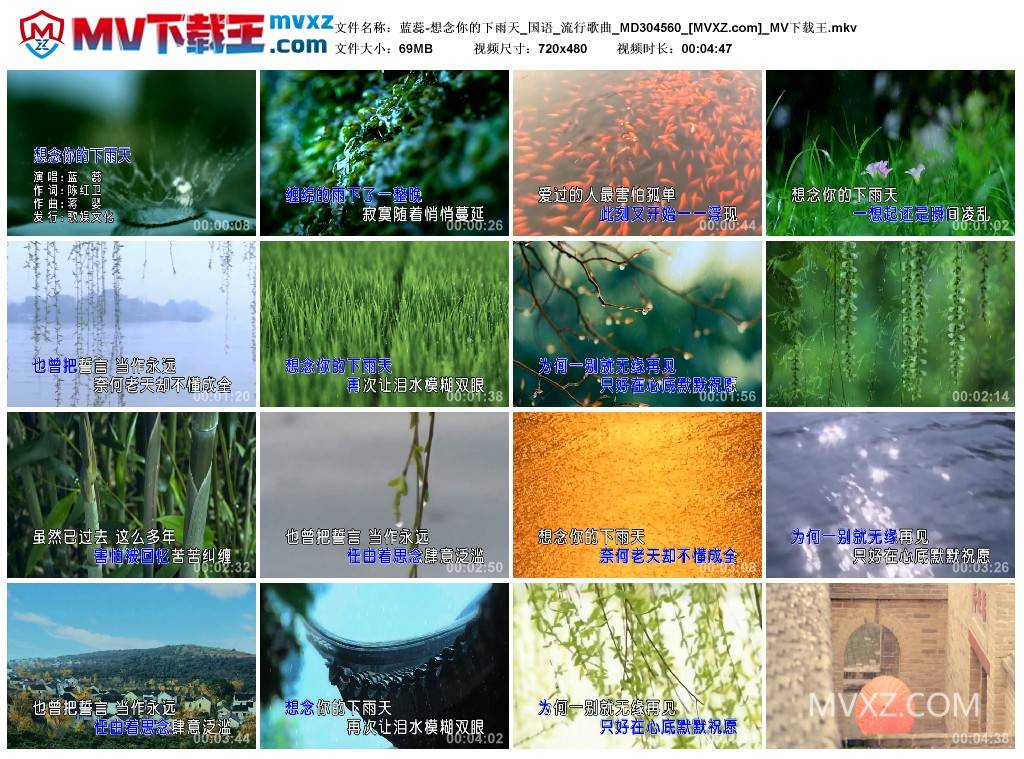 蓝蕊-想念你的下雨天_国语_流行歌曲_MD304560